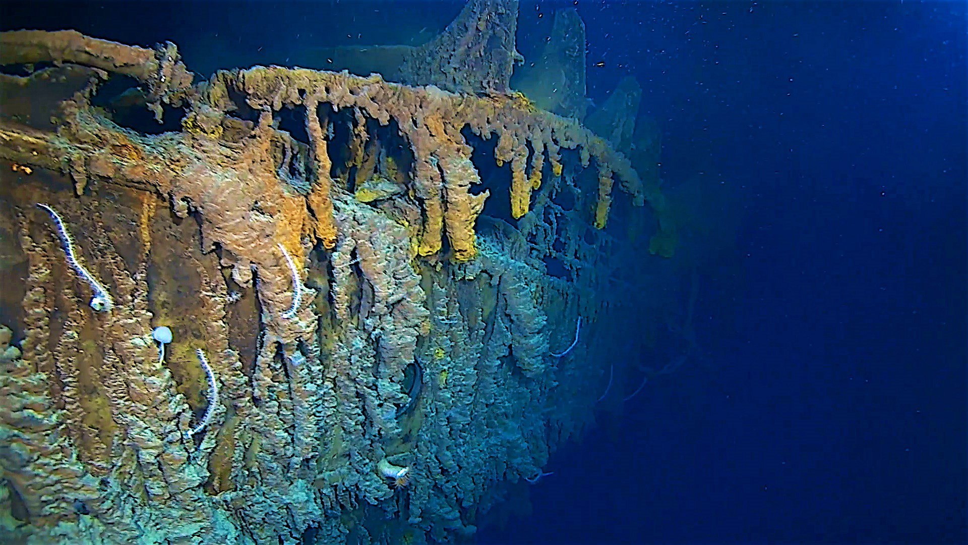 Se difunden nuevas fotos del Titanic en 4k que muestran como se está deteriorando