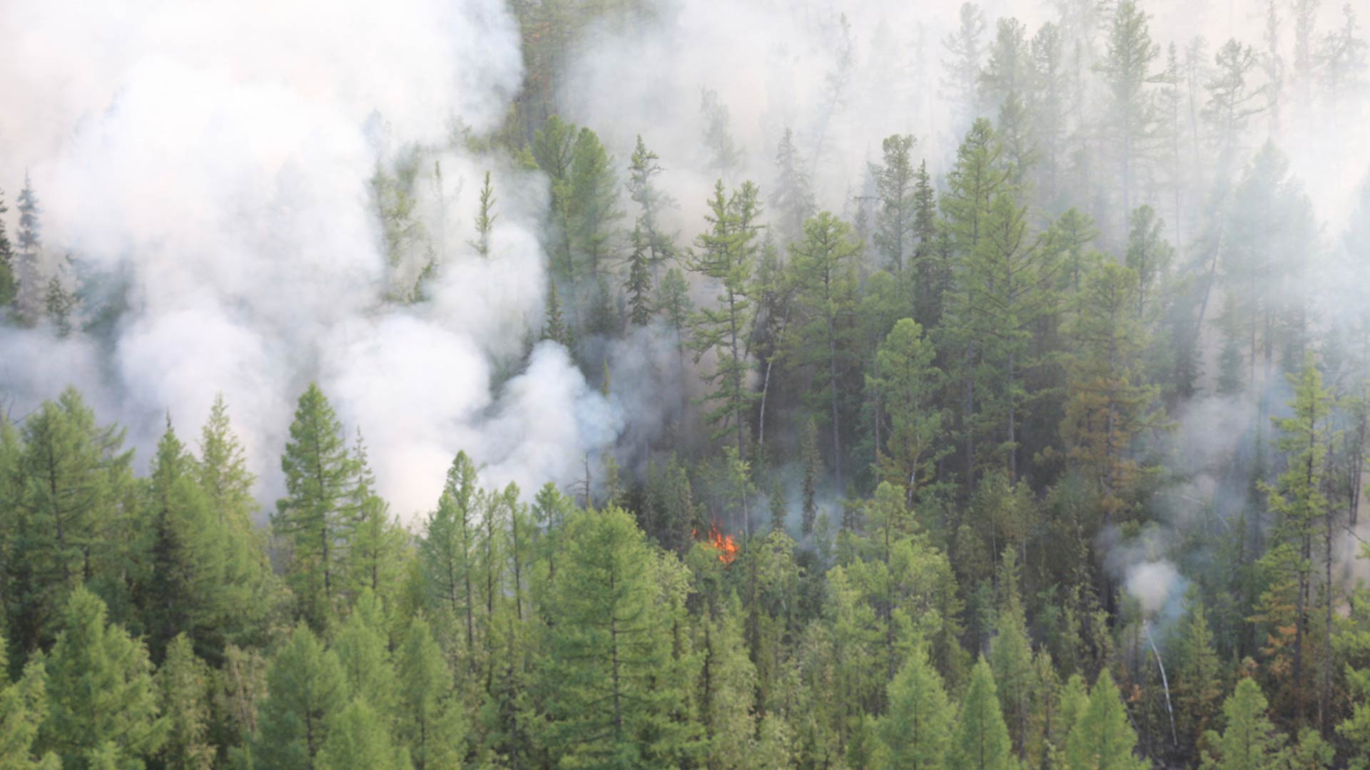 Siberia en llamas: los incendios azotan más de tres millones de hectáreas