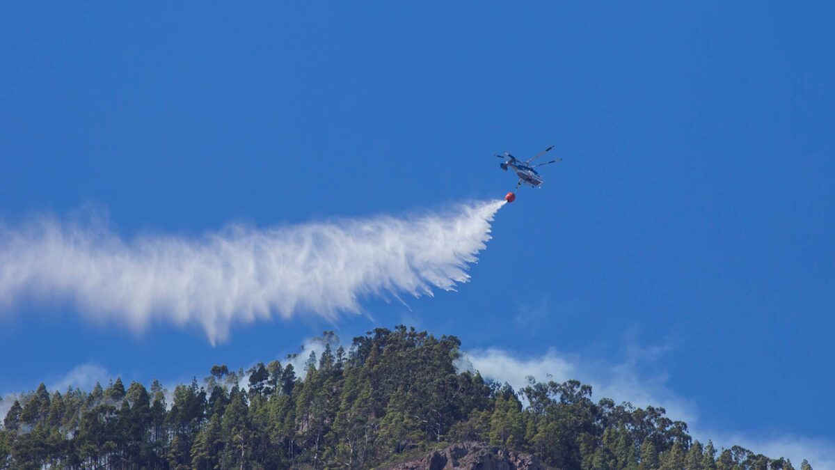 Sofocadas pequeñas reactivaciones del incendio de Gran Canaria, ya estabilizado