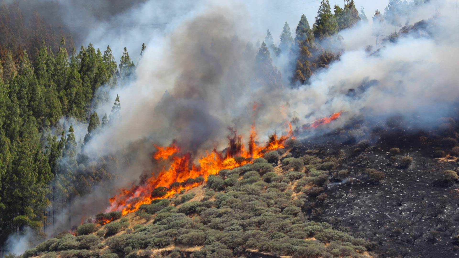 Un incendio arrasa más de mil hectáreas en la isla de Gran Canaria