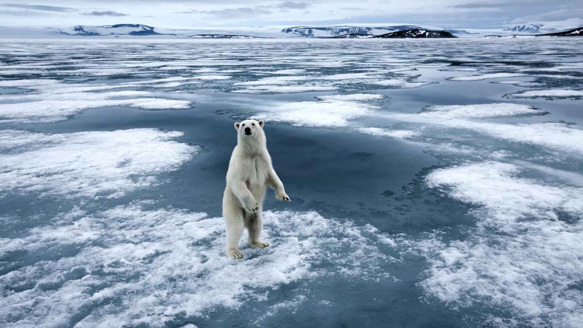 11 películas y series documentales en pro de la acción climática