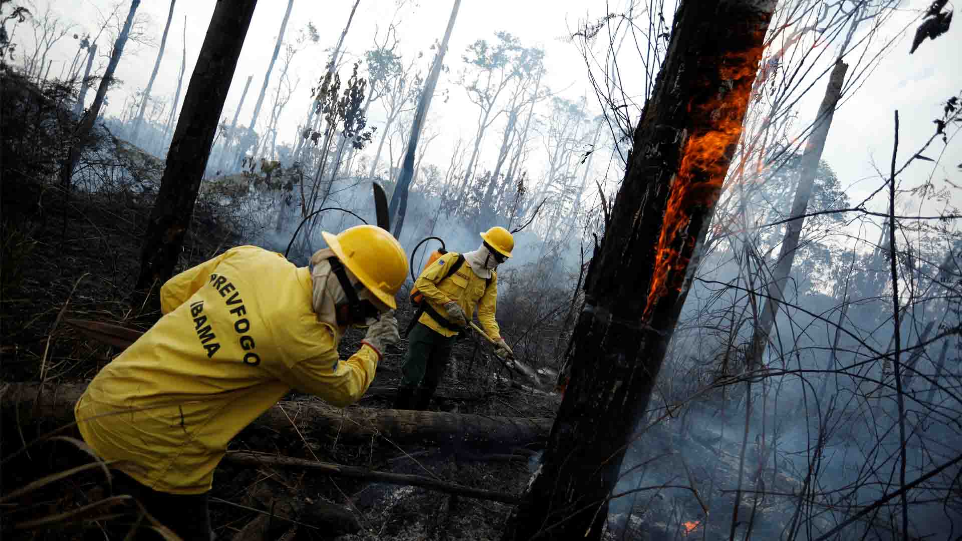 H&M suspende las compras de cuero a Brasil por los incendios en la Amazonía