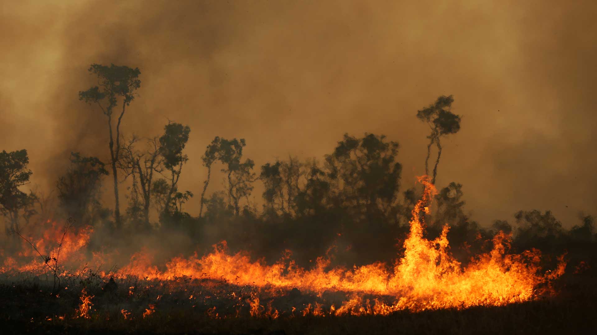 La Amazonía brasileña: una tragedia forjada entre llamas y grilletes