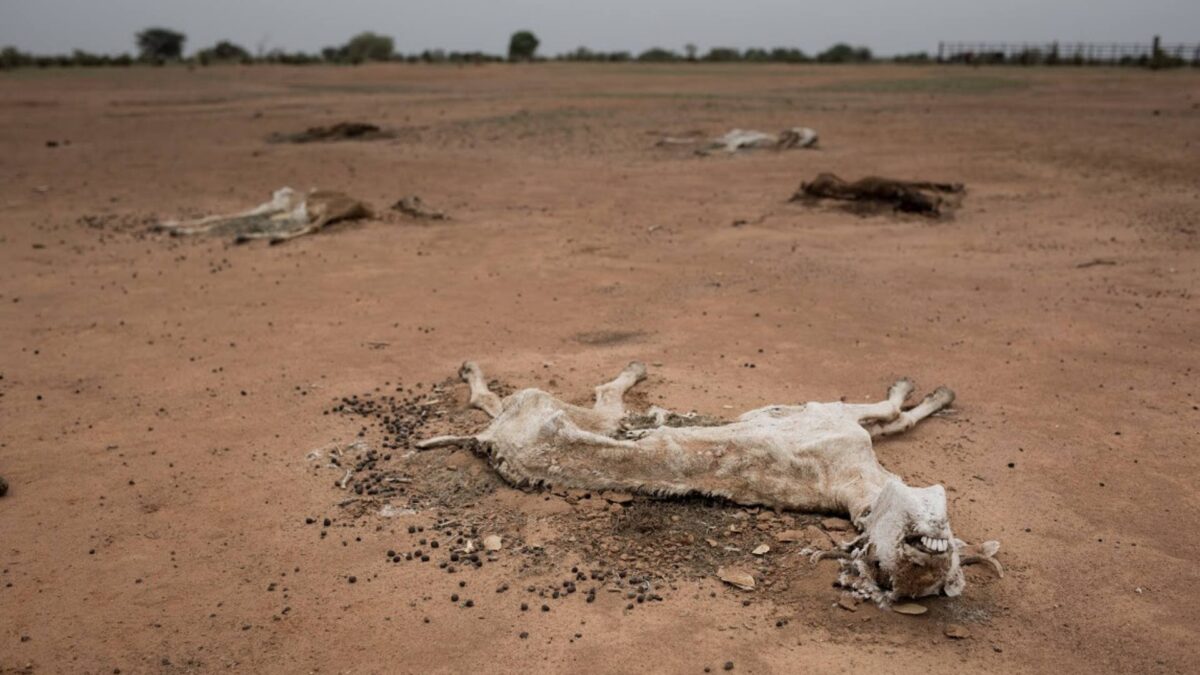 La crisis climática, enemiga en la lucha contra la desnutrición