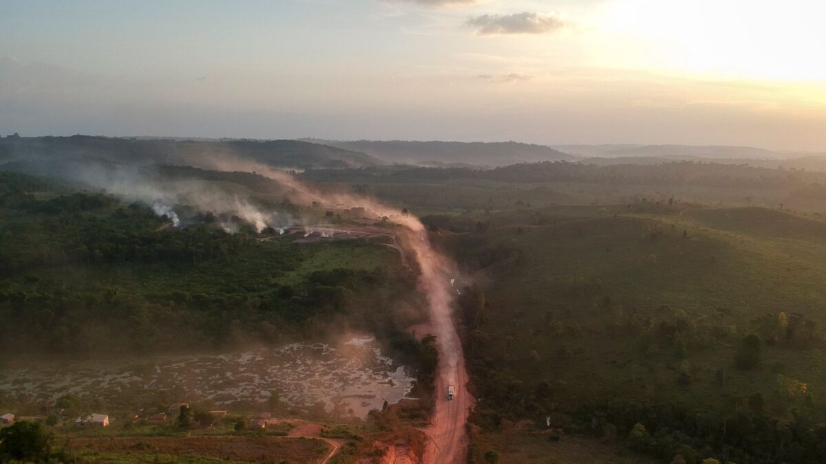 La deforestación del Amazonas se ha disparado un 91% en lo que va de 2019