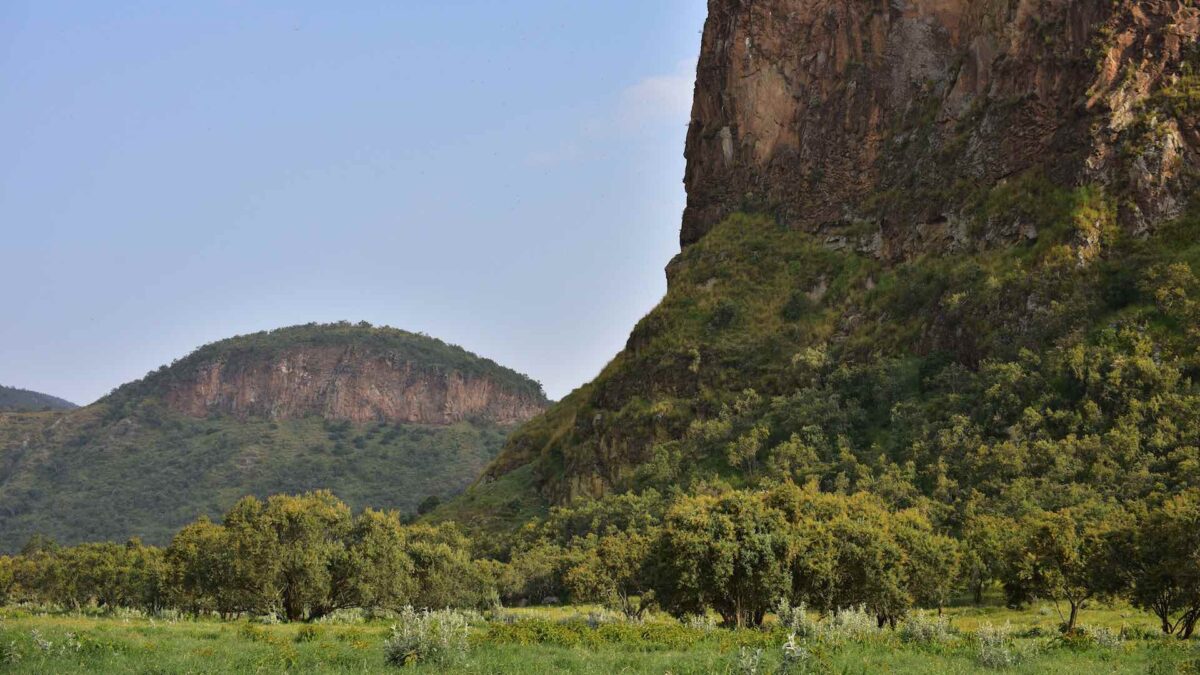 Mueren cinco turistas y un guía en el parque natural de Kenia que inspiró la película ‘El rey león’