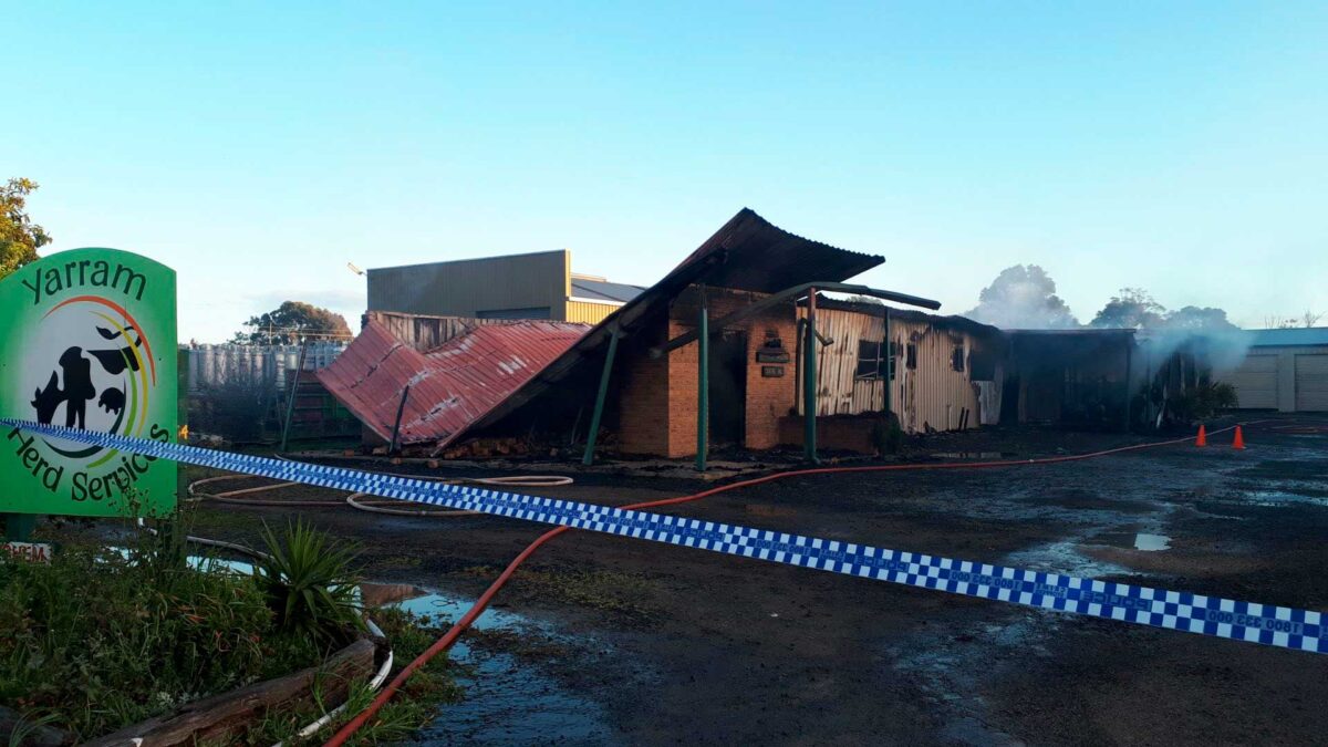 Un incendio en un laboratorio provoca una explosión masiva de semen de toro