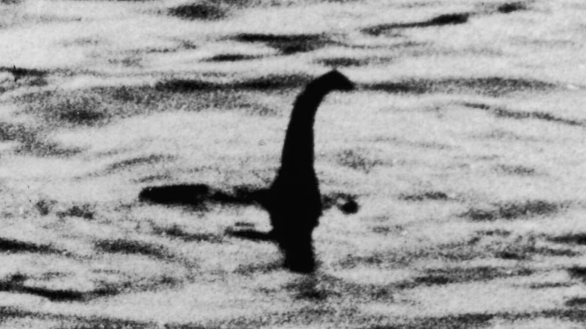 ¿Y si el monstruo del lago Ness no es más que una anguila gigante?