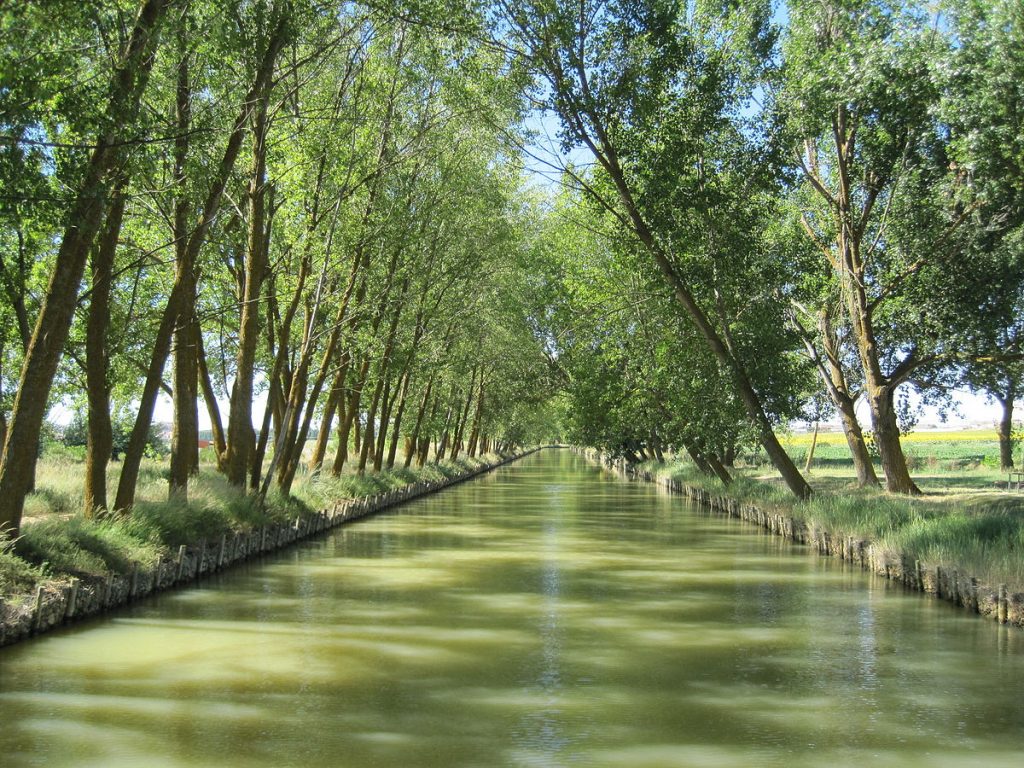 El Canal de Castilla, el sueño fluvial de la Ilustración 1
