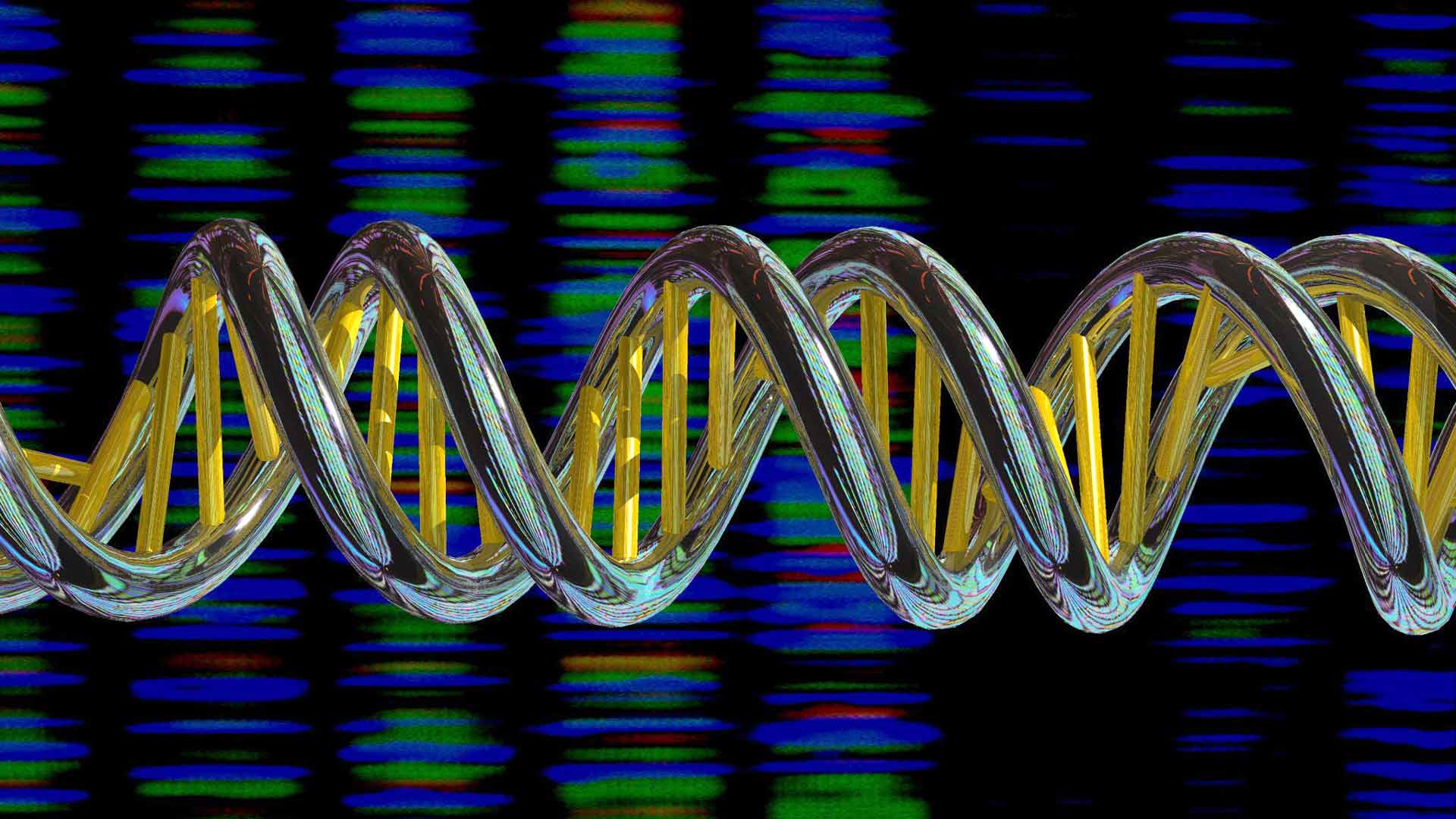 La CRISPR más precisa hasta la fecha convierte la tijera genética en una navaja suiza