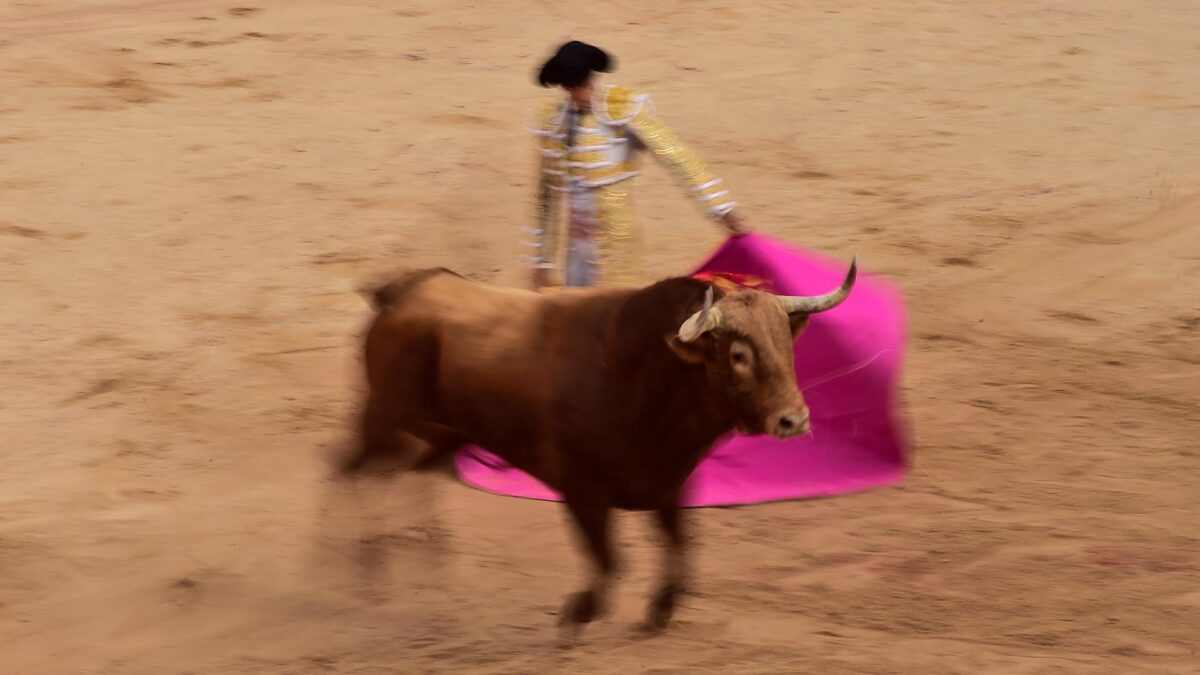 El Foro de Promoción, Defensa y Debate de las Novilladas, Premio Nacional de Tauromaquia