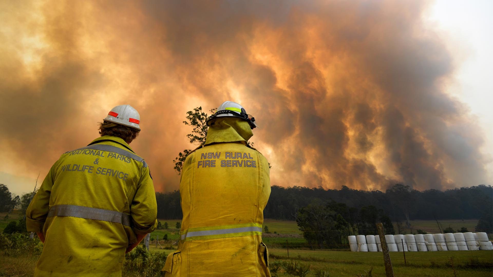 Acusan a un hombre de iniciar los incendios en Australia para salvar su cultivo de marihuana