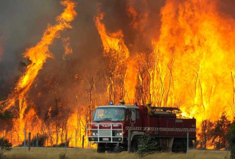 Russell Crowe graba los daños de los incendios en Australia: "Los troncos echan humo allá donde mires"