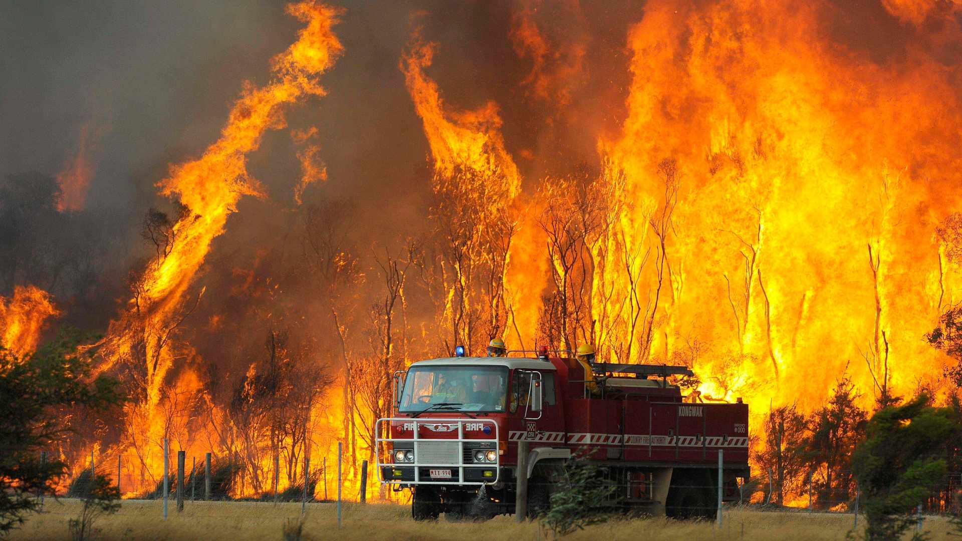 Russell Crowe graba los daños de los incendios en Australia: «Los troncos echan humo allá donde mires»