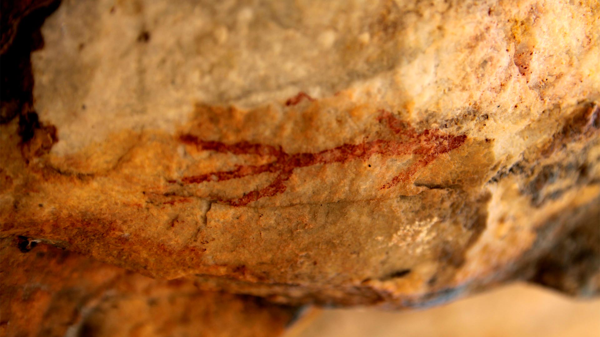 Halladas en Badajoz unas pinturas rupestres de hace 5.000 años