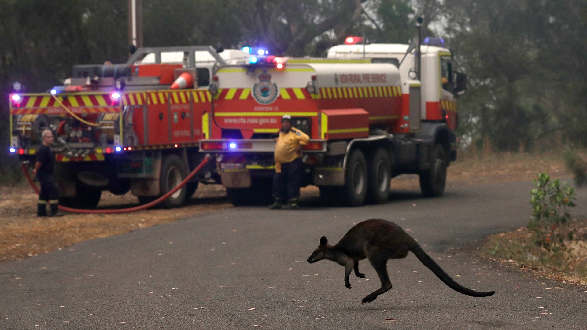 La ola de calor aviva el fuego en Australia y las llamas alcanzan Melbourne