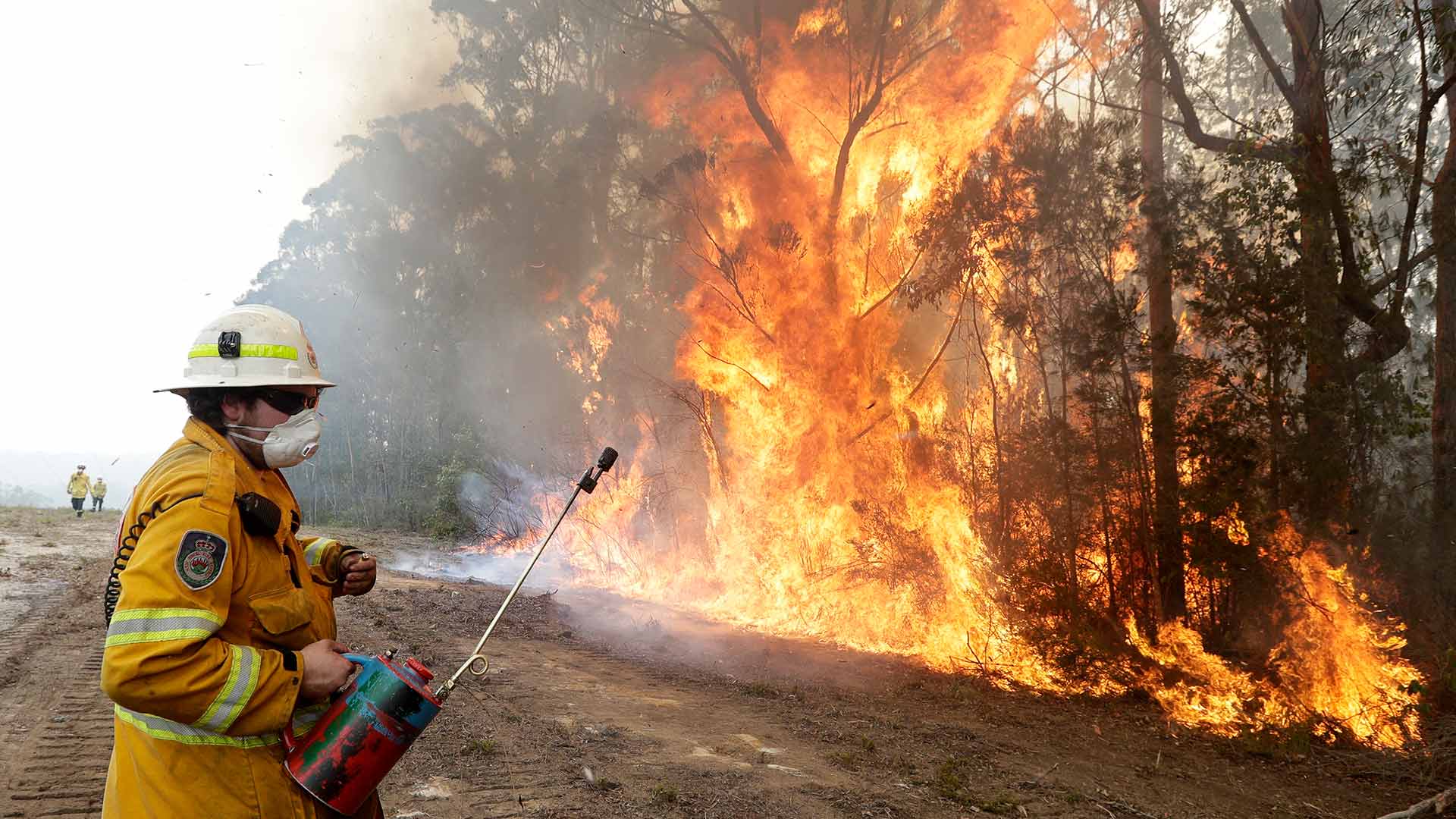 800 millones de animales muertos y críticas al Gobierno: las claves para entender los incendios de Australia 2