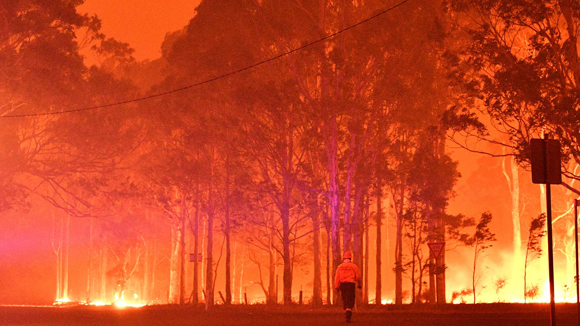 800 millones de animales muertos y críticas al Gobierno: las claves para entender los incendios de Australia