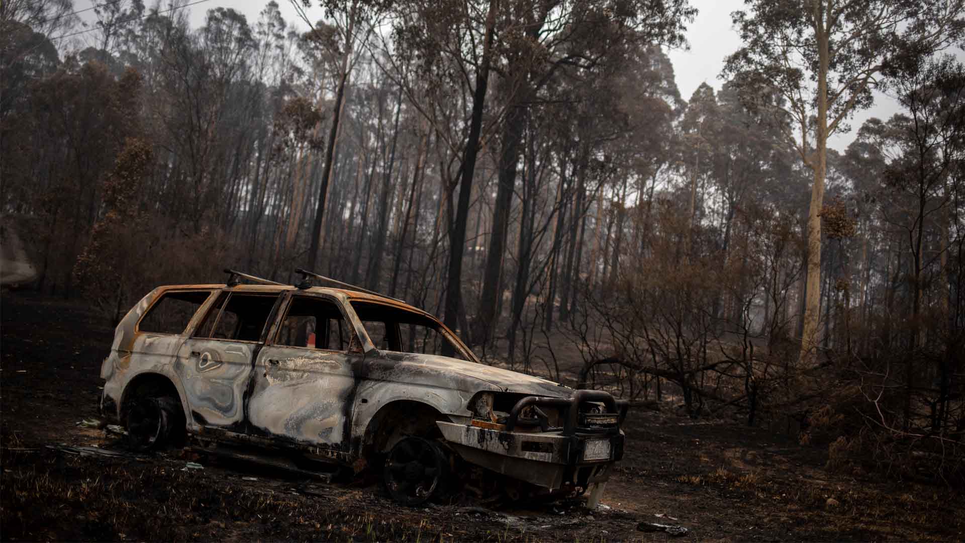 Los incendios forestales en Australia dejan ya 26 muertos y ocho millones de hectáreas arrasadas