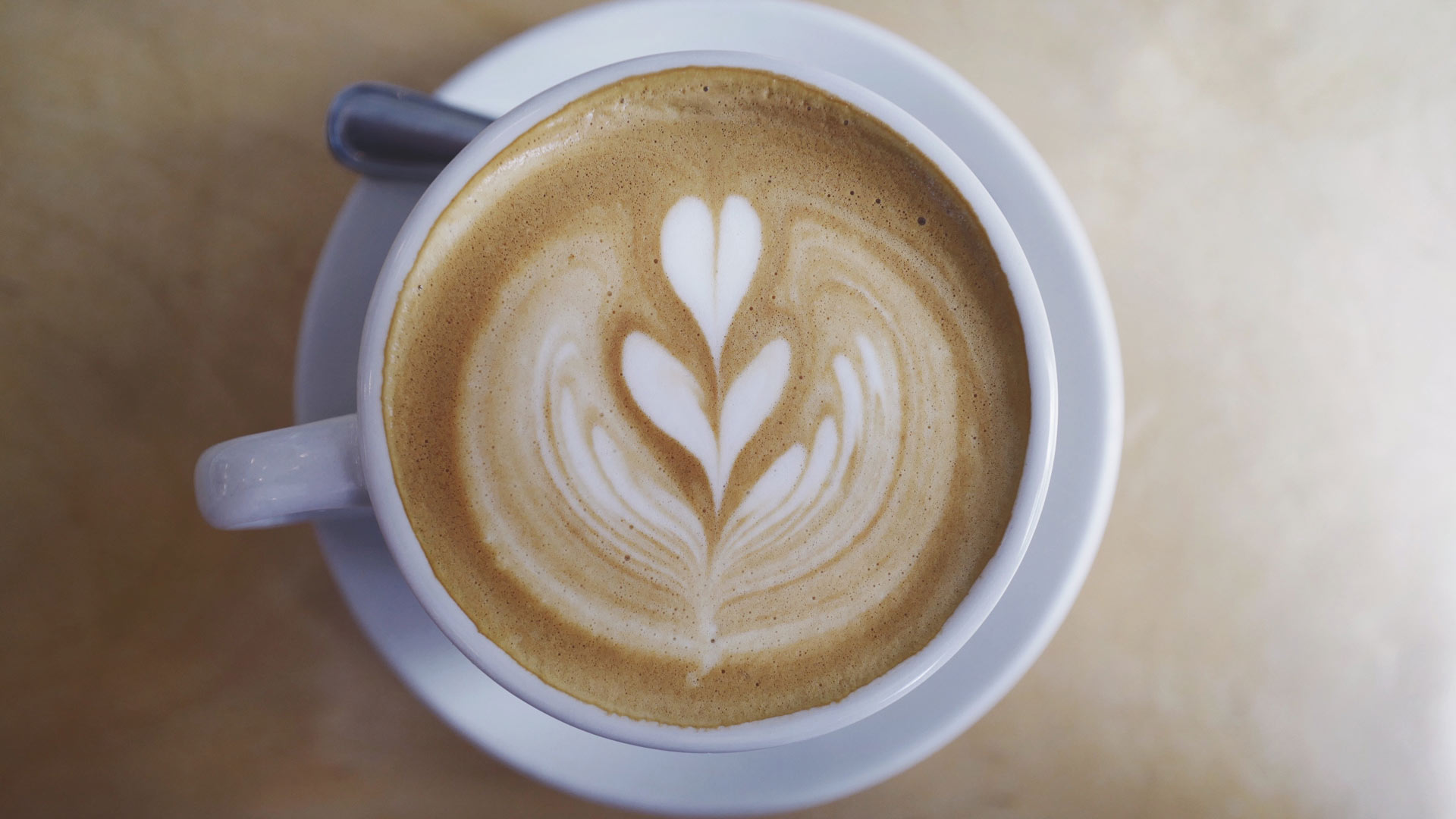 ¿Qué le pasa a nuestro cuerpo cuando bebemos café?