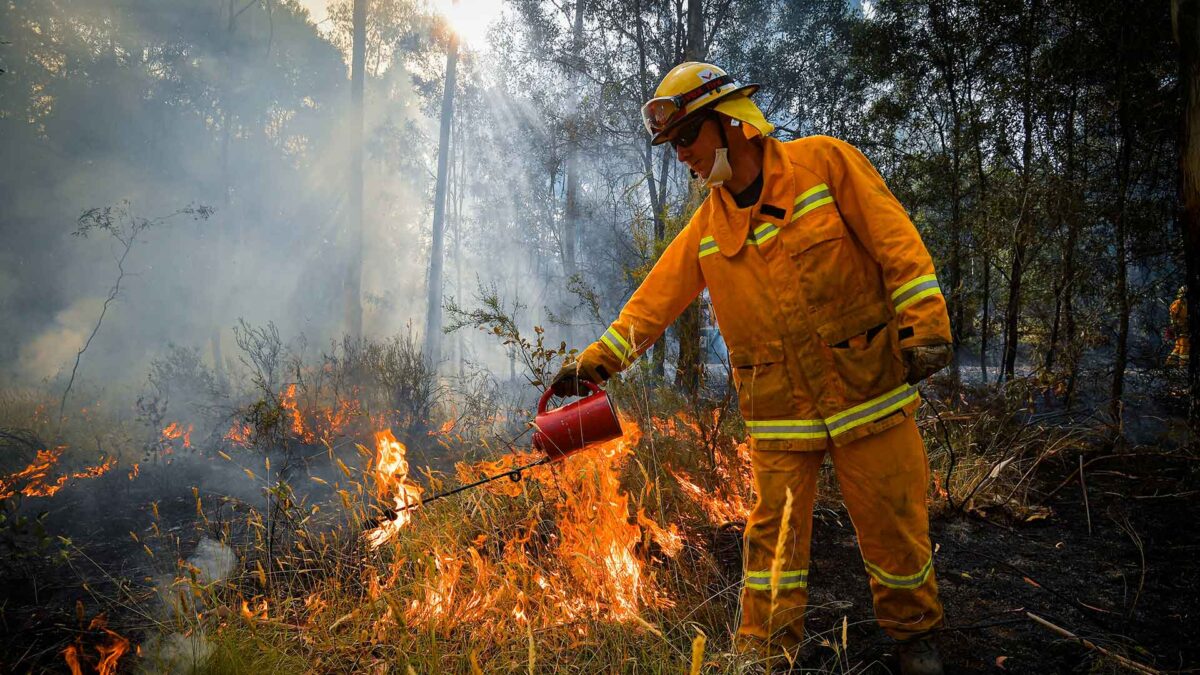 Dónde hay que donar para ayudar en la crisis climática de Australia