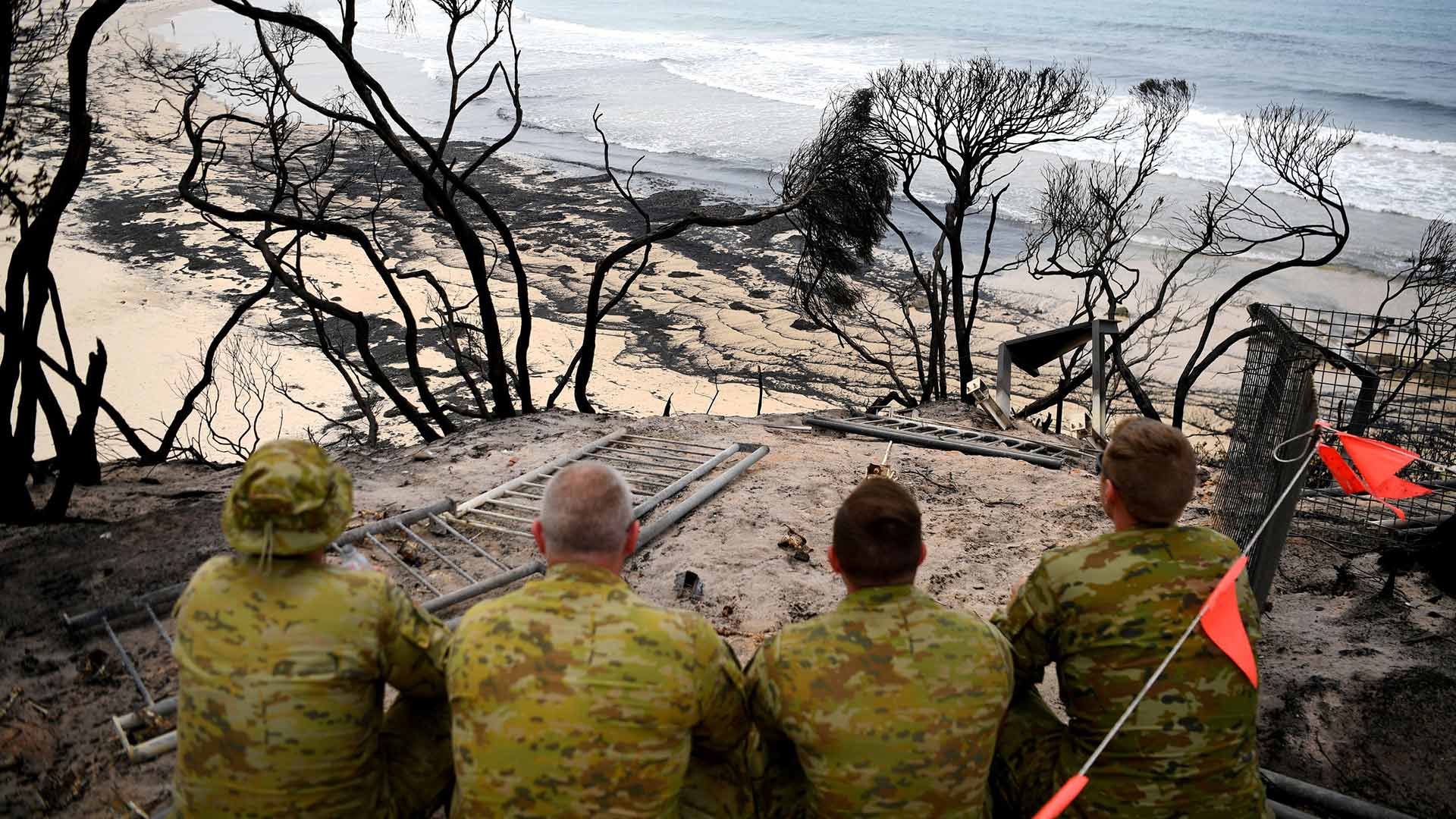 Los artistas y el mundo del deporte se vuelcan con los incendios de Australia