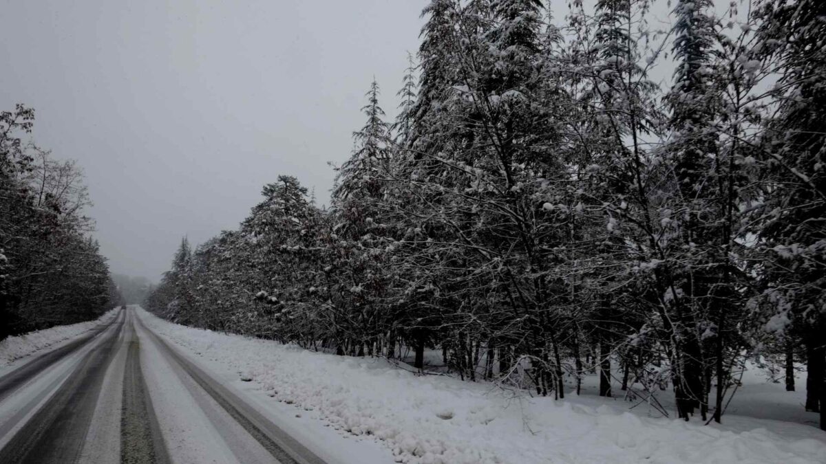 Un hombre en EEUU dispara a dos niños que lanzaban bolas de nieves a los coches