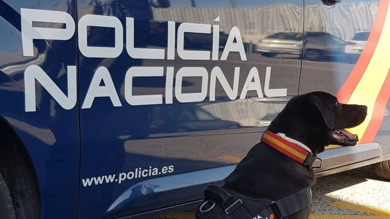 Detienen a 11 narcos en Galicia y Madrid que escondían la heroína bajo tierra