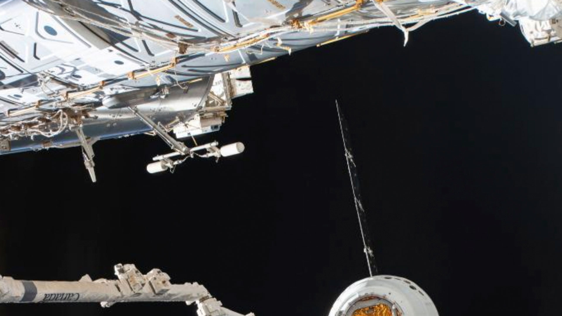 La NASA cultiva en el espacio lechuga sin microbios apta para el consumo