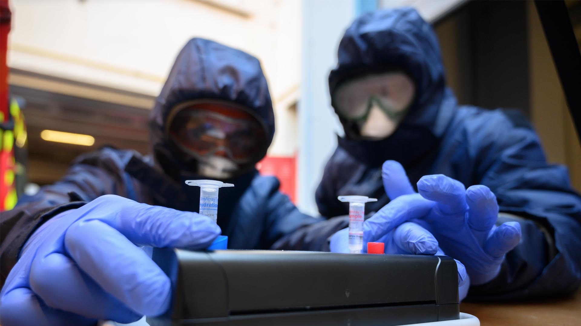 Francia probará en 10 enfermos de coronavirus una solución a base de sangre de un gusano marino