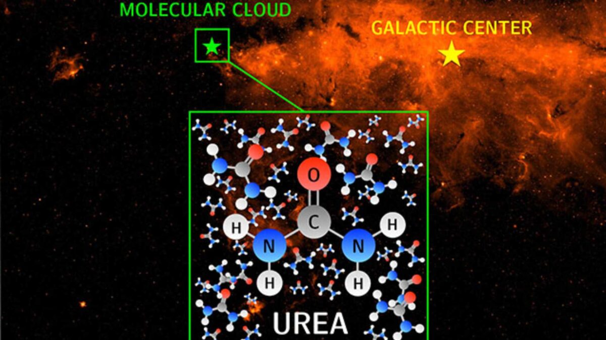 Científicos españoles detectan urea en el espacio, clave para entender el origen de la vida