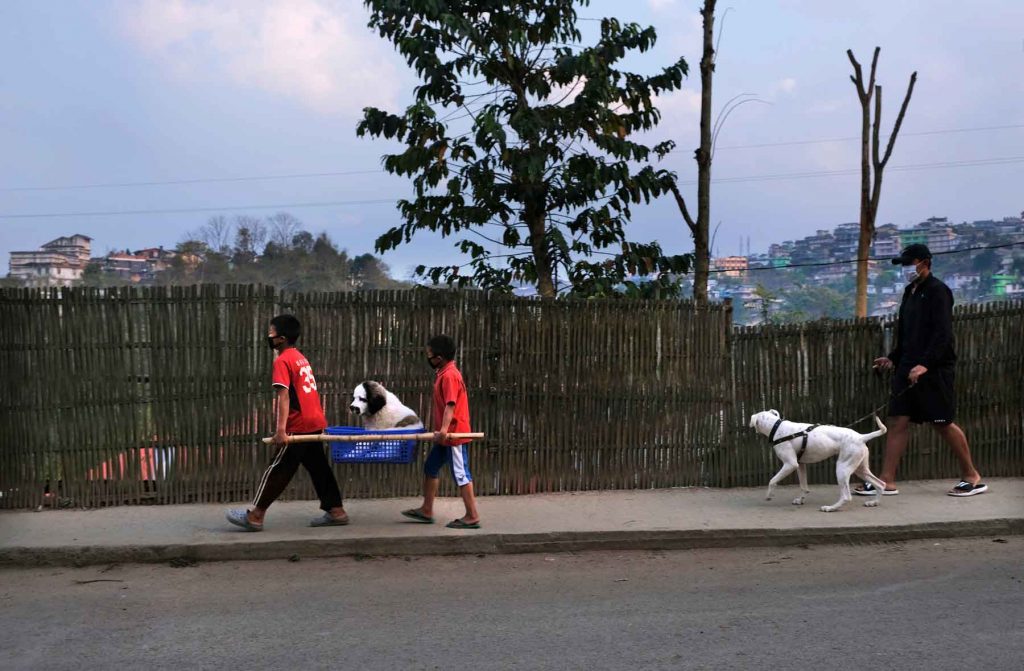 Far away, so close: 50 imágenes de que nos ha dejado un mes de pandemia 9