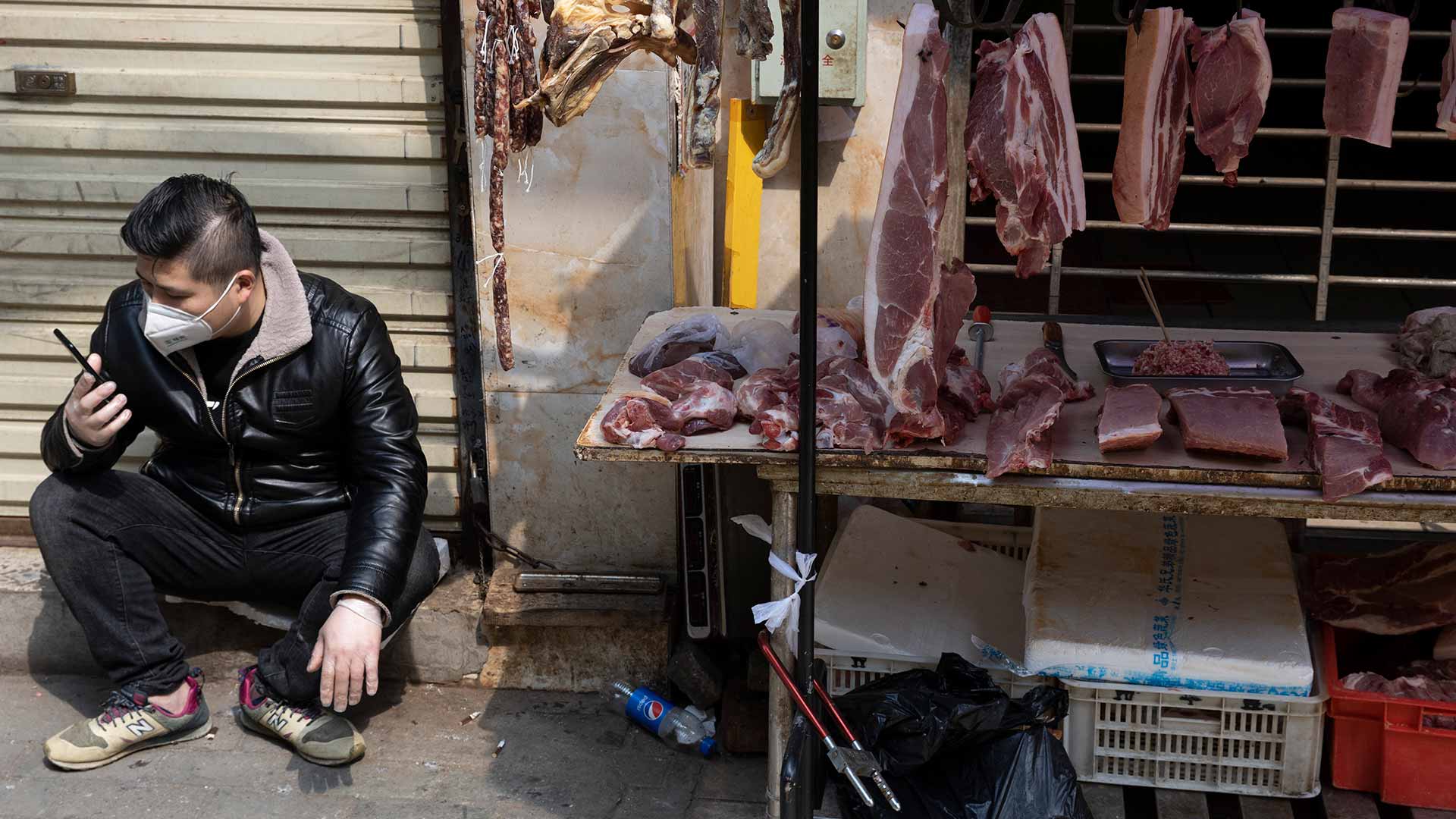 China ofrecerá subsidios para erradicar el tráfico de animales salvajes