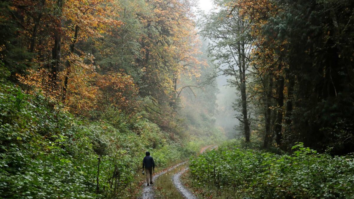 Día Internacional de la Biodiversidad: protegerla es invertir en salud