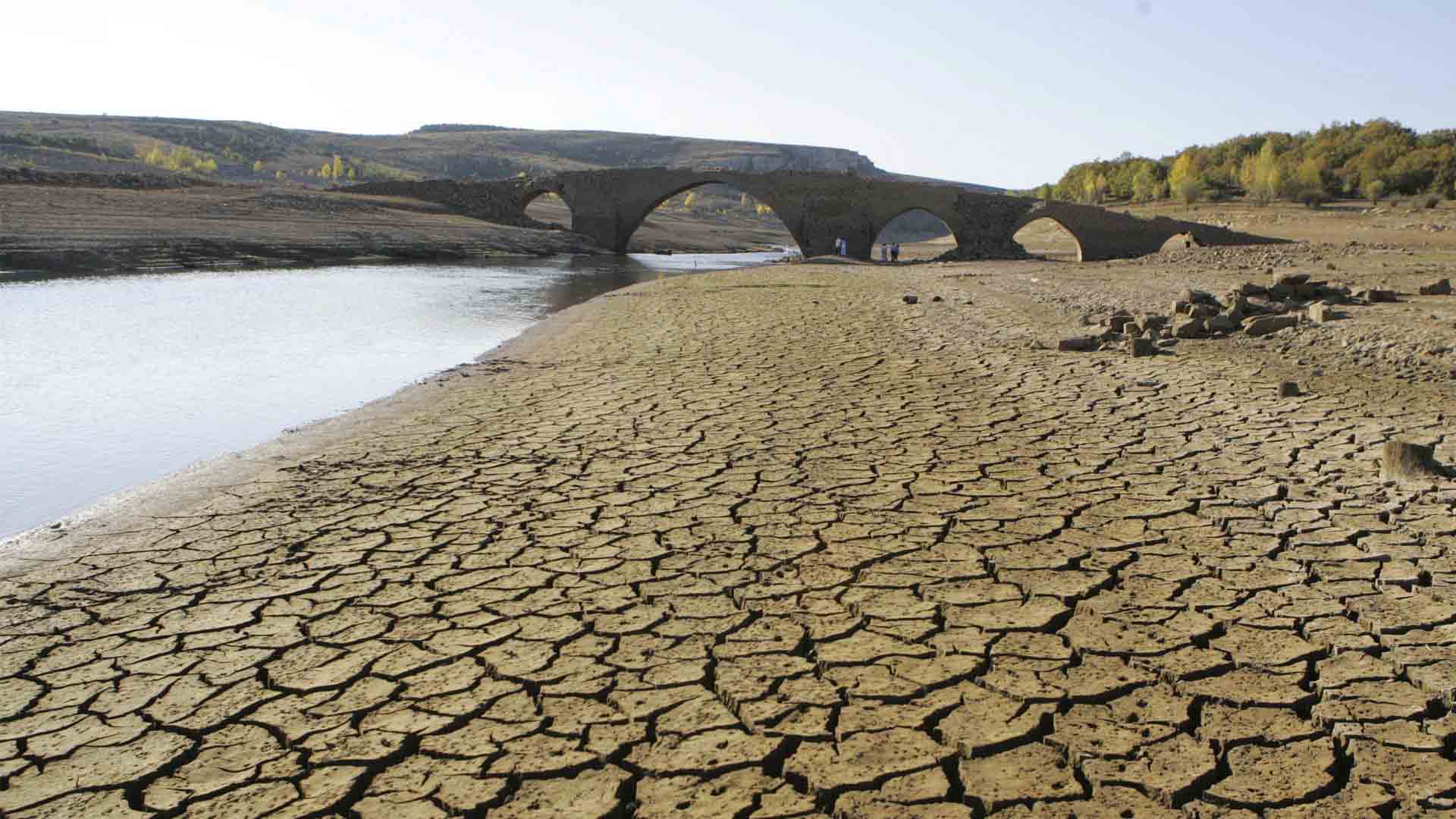 El Gobierno presenta su hoja de ruta de adaptación al cambio climático para los próximos 10 años