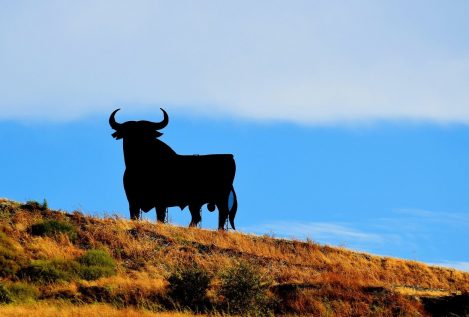 ¿Es bueno sentirse orgulloso de tu país?