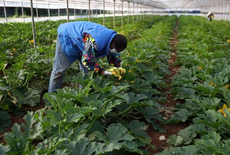 El 75% de los empresarios denuncia un exceso de burocracia para contratar inmigrantes