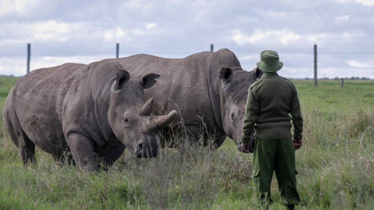 La humanidad ante su propia extinción