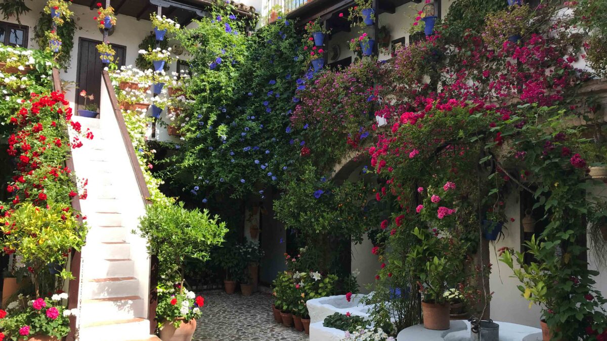 Los patios de Córdoba en cuarentena: una ruta por el emblemático barrio de San Basilio