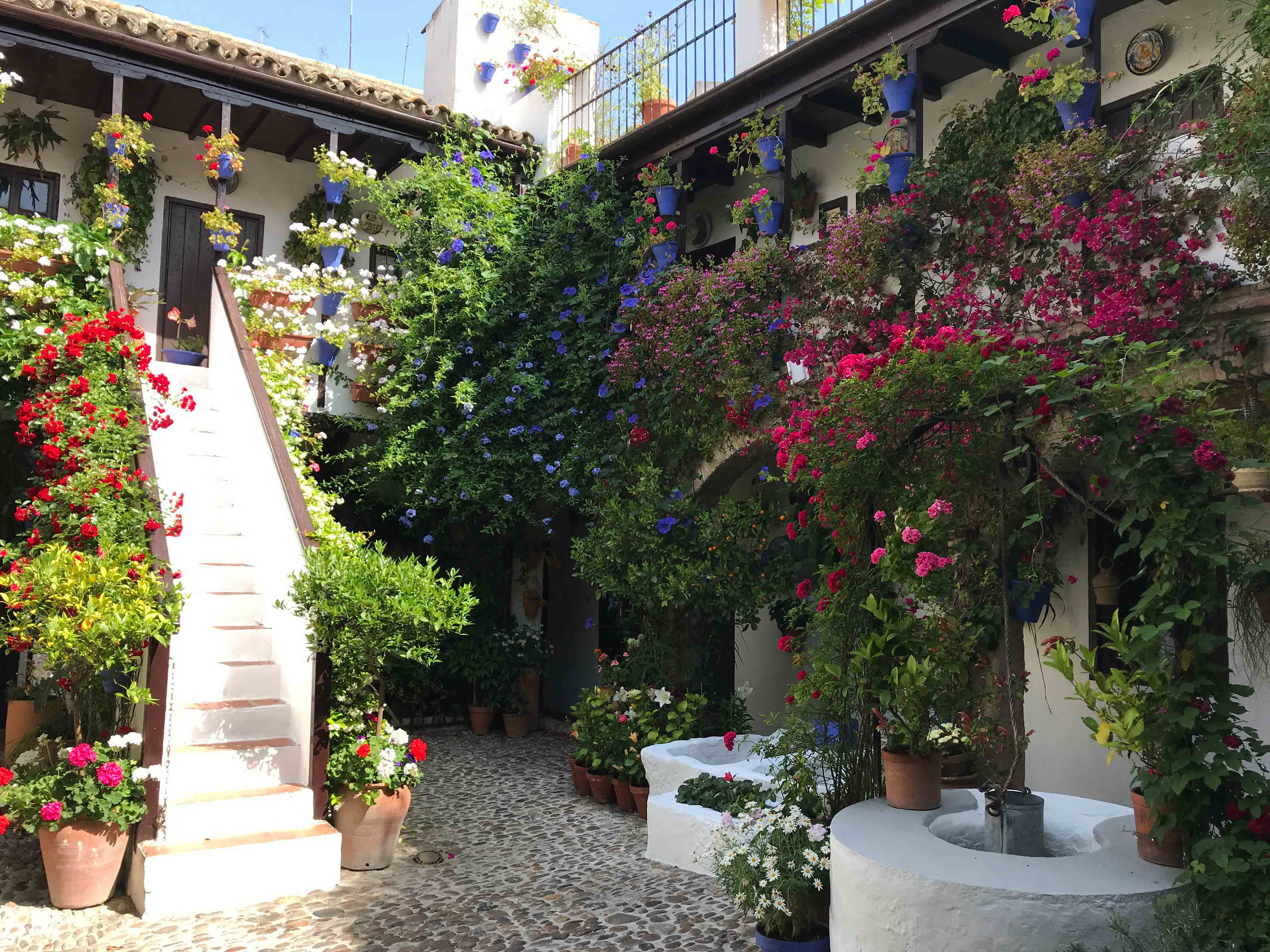 Los patios de Córdoba en cuarentena: una ruta por el emblemático barrio de San Basilio