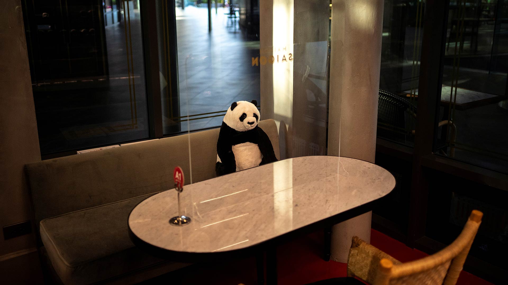 Pandas de peluche, la nueva idea para mantener el distanciamiento social