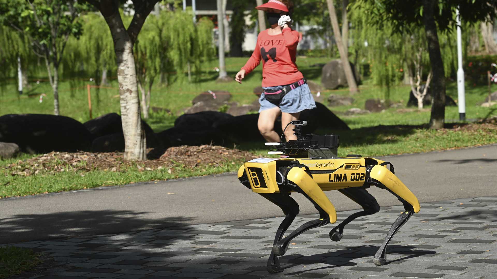 Perros robot patrullan los parques de Singapur para evitar aglomeraciones por el coronavirus