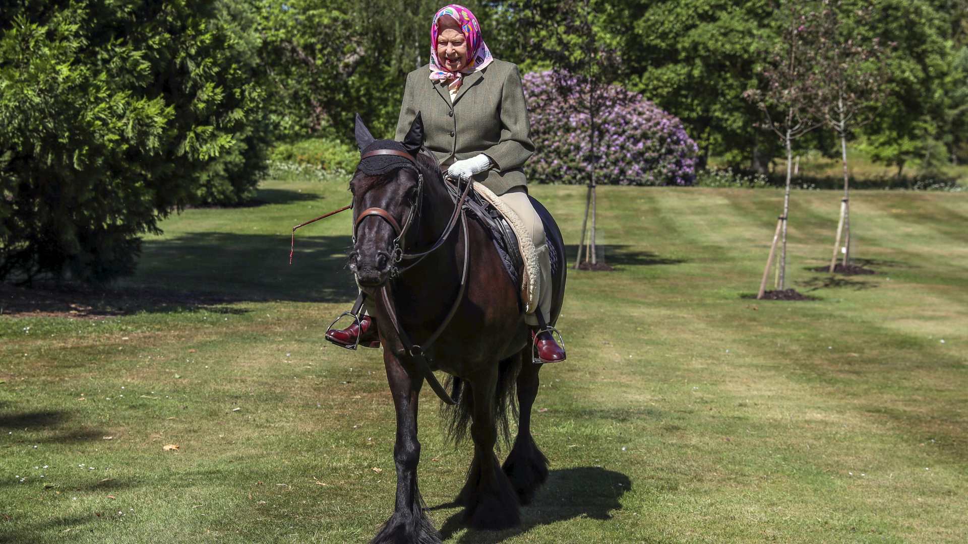 Isabel II monta a caballo en su primera salida desde el confinamiento