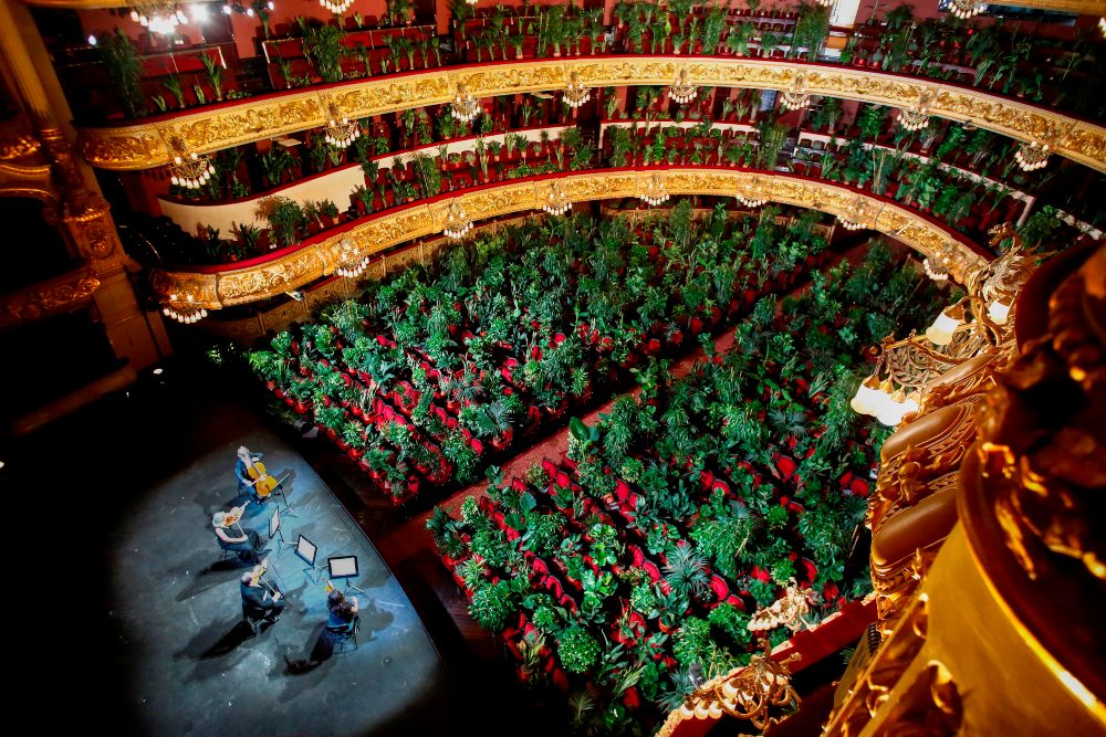 El Liceu de Barcelona reabre con un concierto para 2.300 plantas