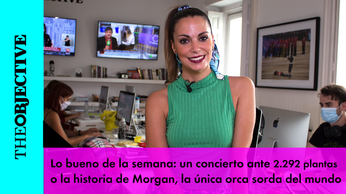 Lo bueno de la semana: la historia de superación de Morgan, la única orca sorda del mundo