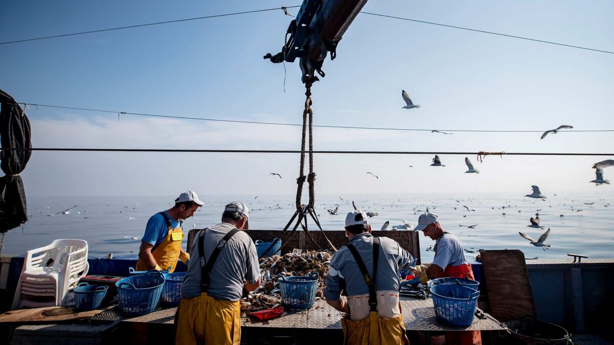 Los pescadores se vuelcan con la basura marina y recuperan cerca de 152 toneladas en 2019