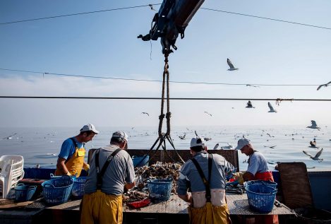 Los pescadores se vuelcan con la basura marina y recuperan cerca de 152 toneladas en 2019