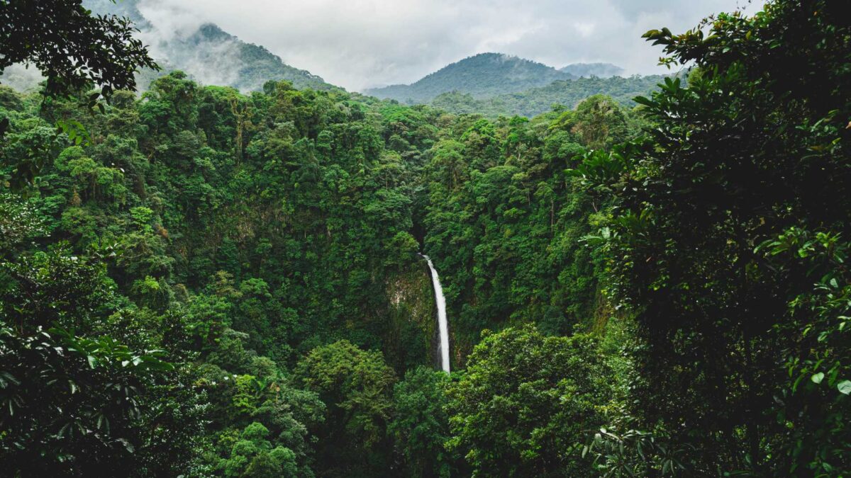 Realidad virtual para un modelo de turismo natural más sostenible