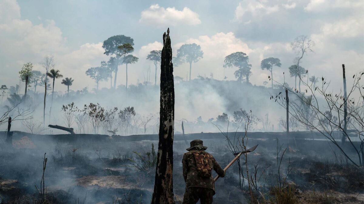 Un campo de fútbol cada seis segundos: así se pierde la selva tropical