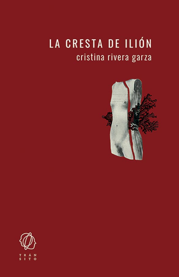 Cristina Rivera Garza: “El dominante también tiene historias secretas que lo están diezmando por dentro” 2